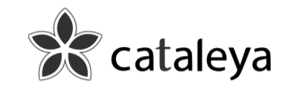 cataleya